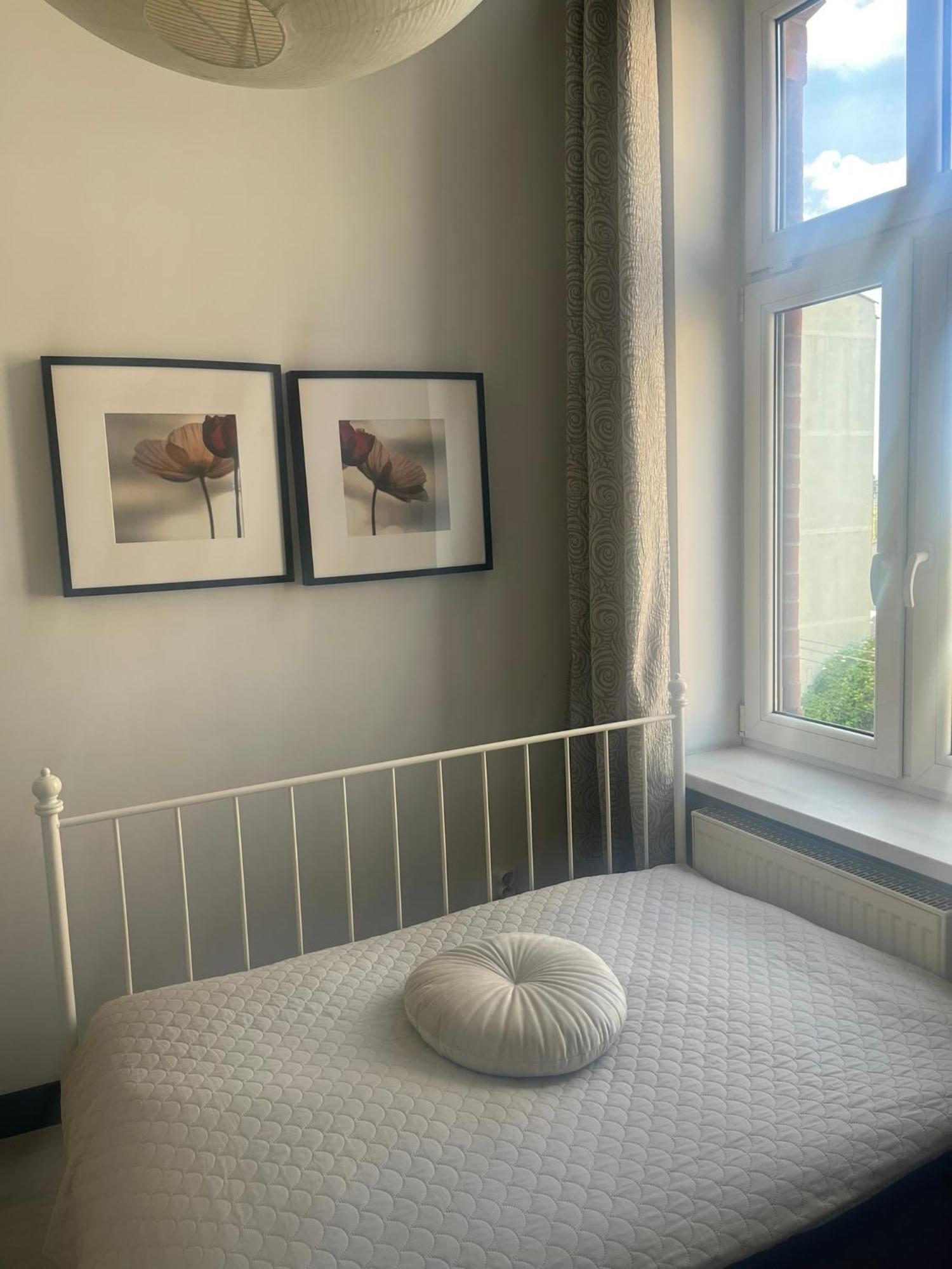 Hstyle Apartament Mikolowska 9 كاتوفيتسه المظهر الخارجي الصورة